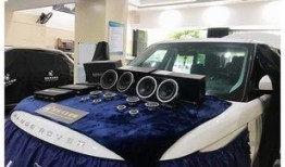 白鲨最新爆料新闻网视频,揭秘新闻网背后惊人内幕