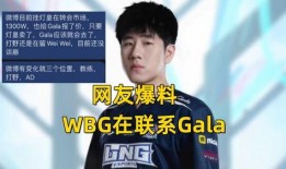 wbg最新转会爆料,最新爆料揭示战队阵容大洗牌