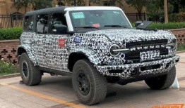 国产烈马最新爆料,揭秘神秘爆料背后的传奇故事