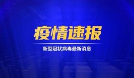 蓝厂最新系统爆料新闻,颠覆性升级，引领科技新潮流