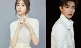 胡冰卿和张铭恩最新爆料,揭秘幕后故事与情感纠葛