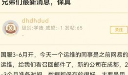 网易四月爆料最新消息,最新科技动态与行业趋势前瞻