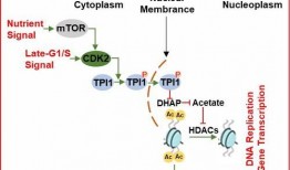 山西医疗队爆料最新消息,疫情形势及防控措施详解