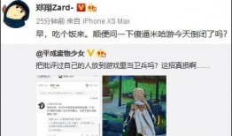 原神制作组最新爆料,神秘元素觉醒，探索未知大陆！